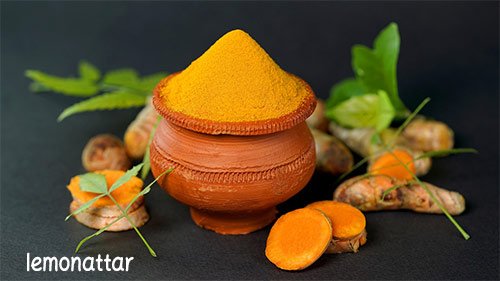 خرید زردچوبه اصل خرید زردچوبه اصل