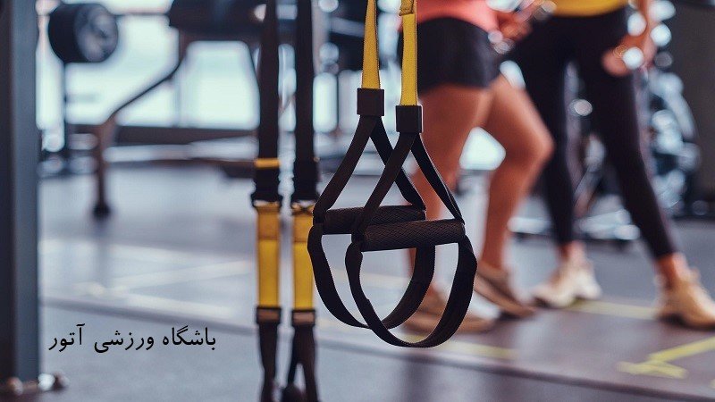 بهترین ورزش ها