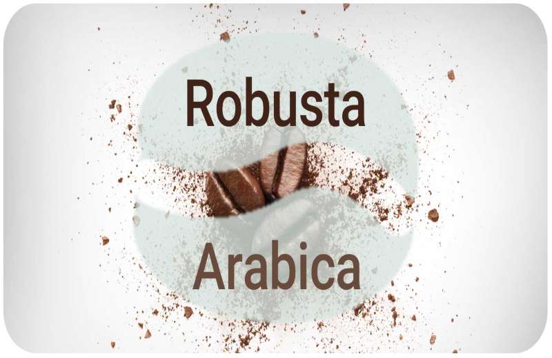 کافئین قهوه_مقایسه کافئین روبوستا و عربیکا