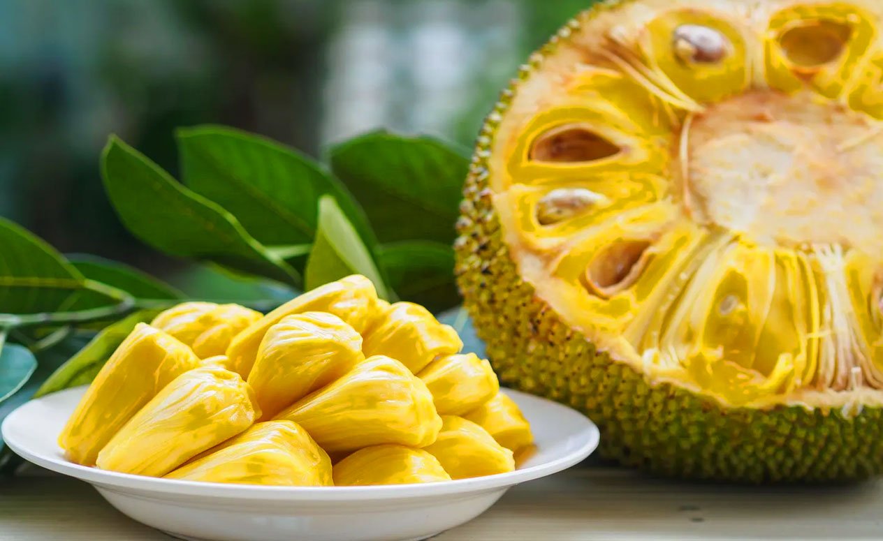 Everything you need to know about Spanish jackfruit