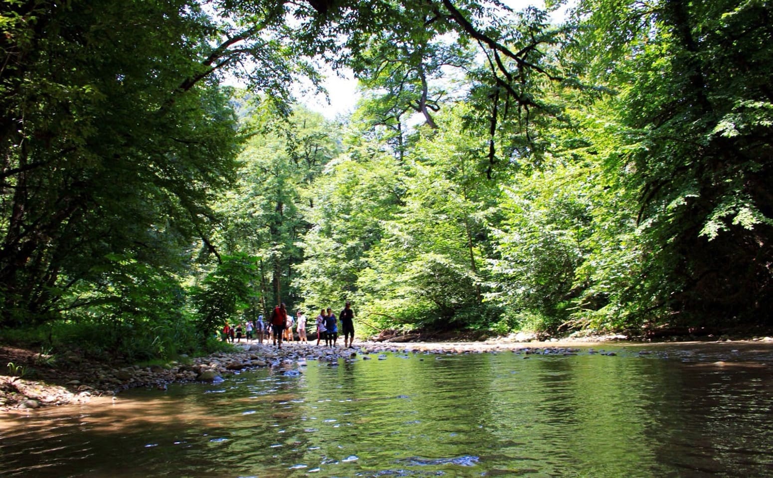 سفر به جنگل جیغ مشهد، جاذبه ای که کمتر کسی میشناسد!