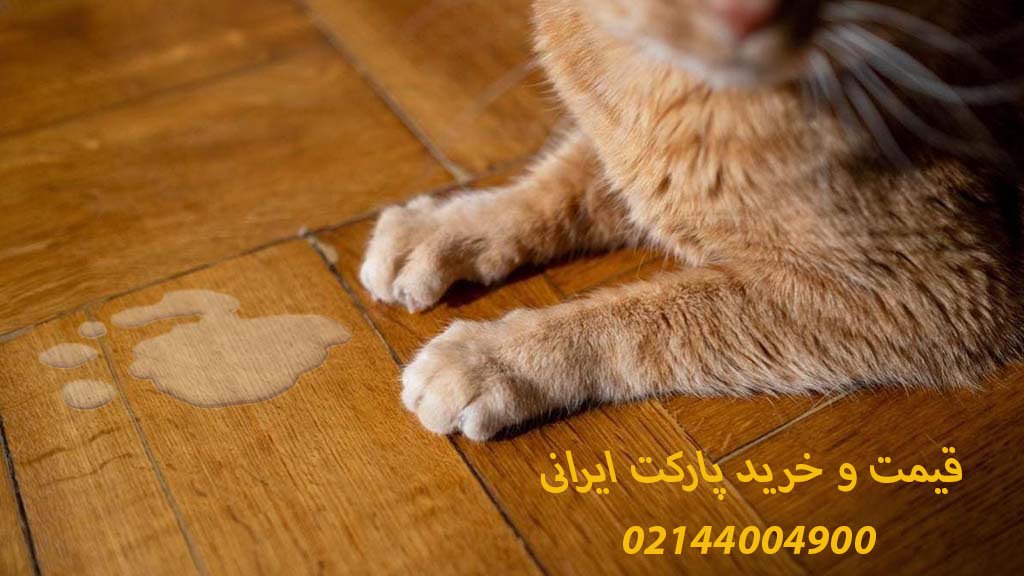 "تصویر قیمت بهترین پارکت ضد آب و ضد خش"