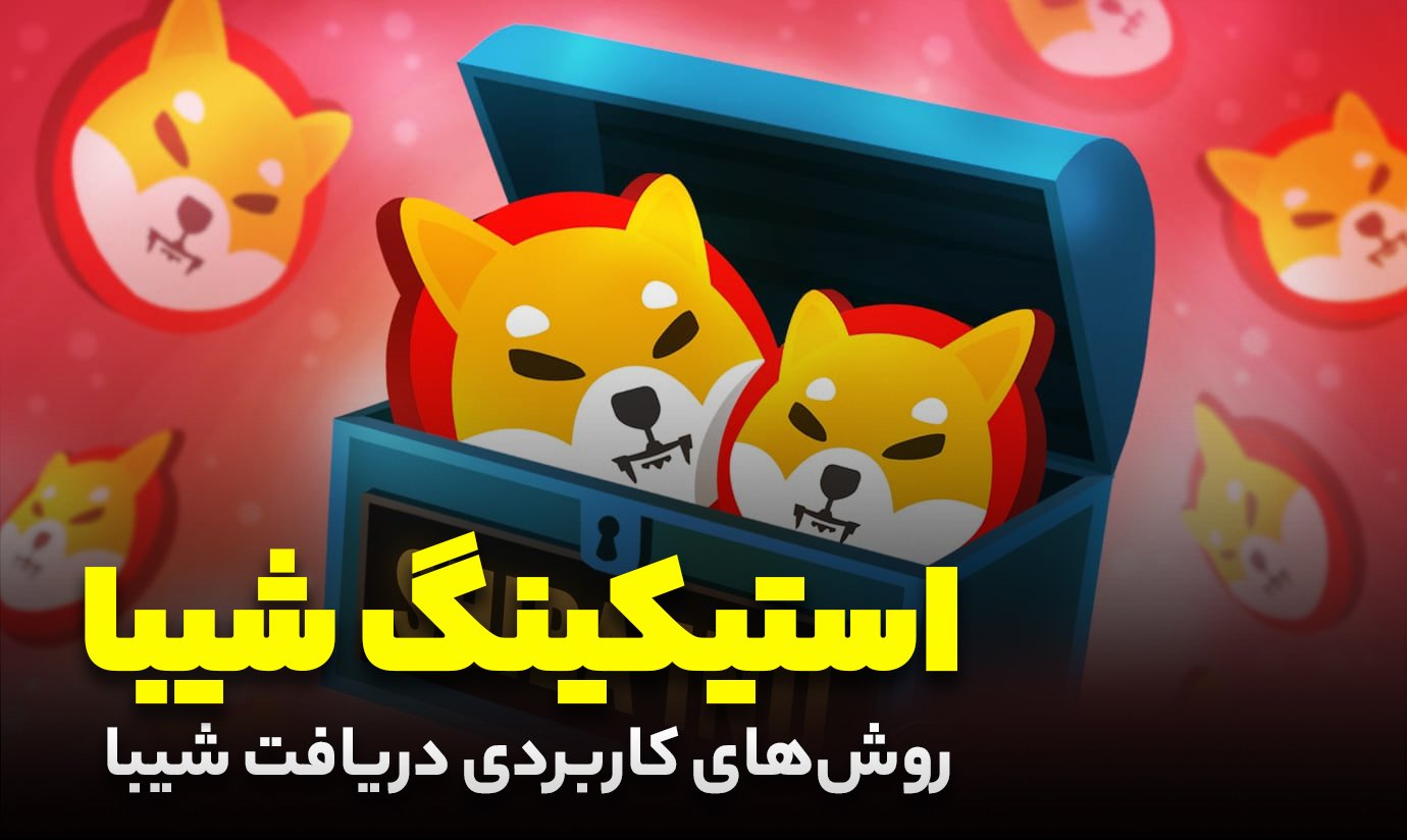 استیکینگ شیبا