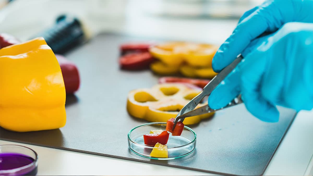 رازهای سلامت و بهداشت در مواد غذایی: دوره های آموزشی شیمی و میکروبیولوژی 1 شیمی مواد غذایی