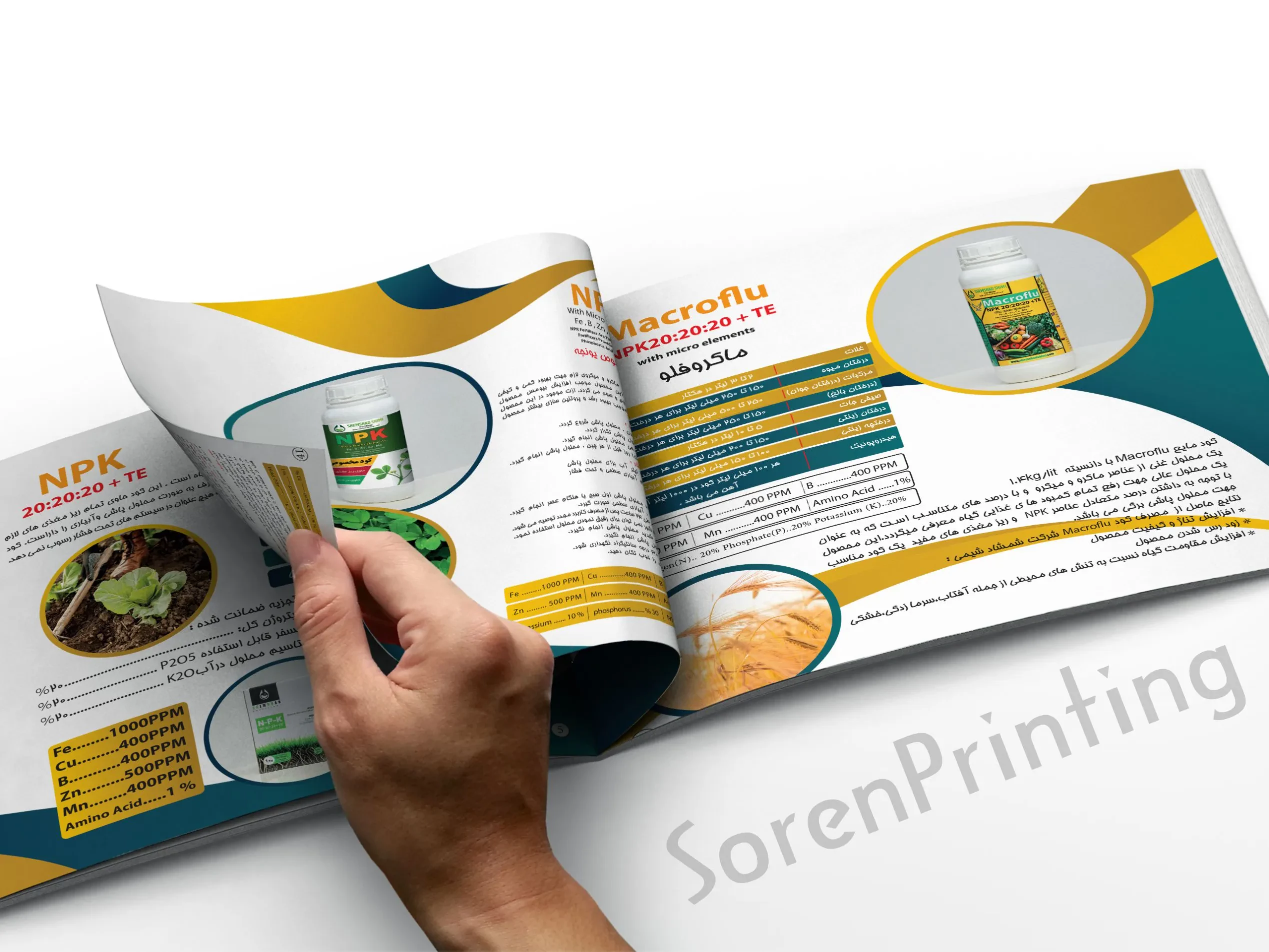 چاپ کاتالوگ فوری