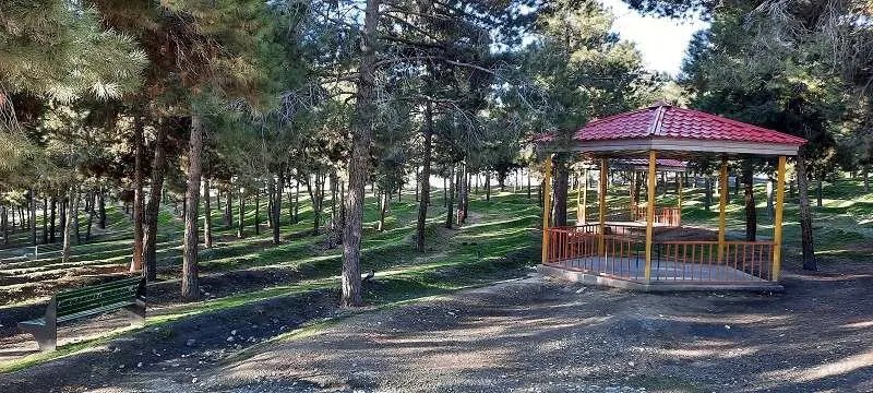 کدام پارک های جنگلی تهران برای کمپ مناسب است