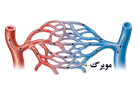 اندازه گیری فشار وریدی