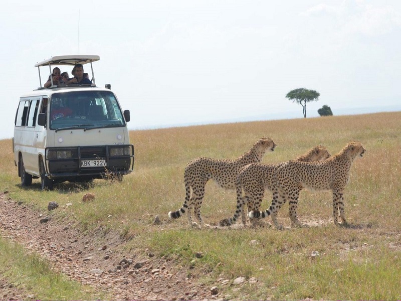 چگونه به کنیا سفر کنیم؟