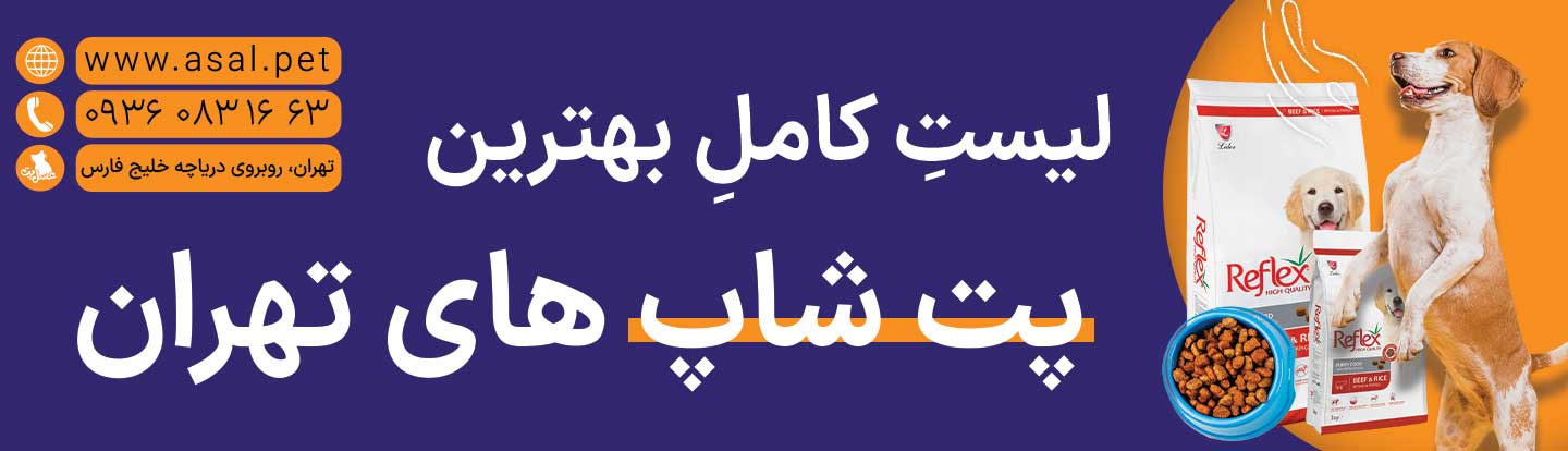 بهترین پت شاپ غرب تهران