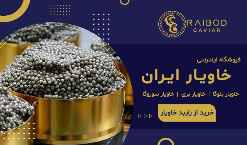 از کجا خاویار بخریم؟ خرید بهترین خاویار ایرانی