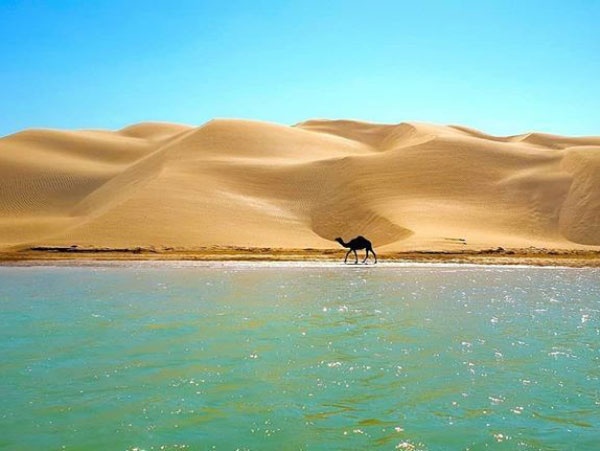 سواحل جنوبی ایران