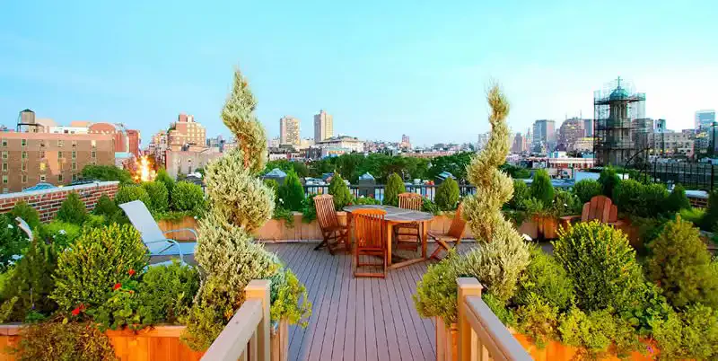 اجرای روف گاردن مدرن با قیمت پایین