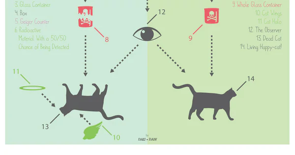 آزمایش گربه شرودینگر