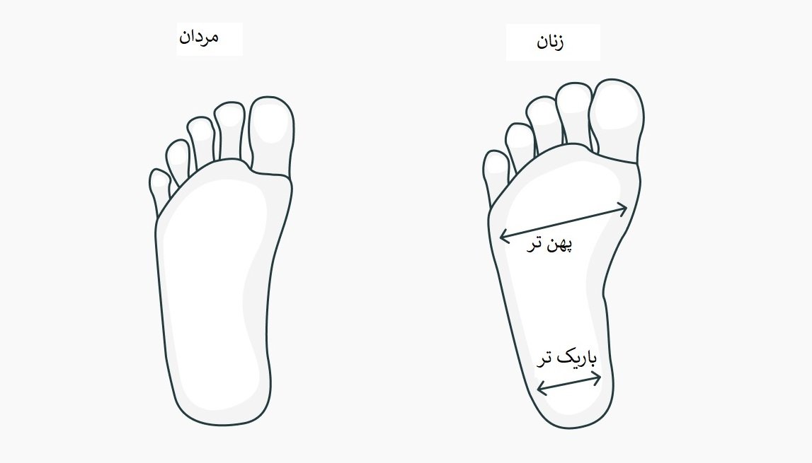 تفاوت کفش دویدن مردانه و زنانه