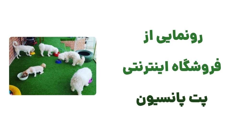 رونمایی از فروشگاه اینترنتی پت پانسیون