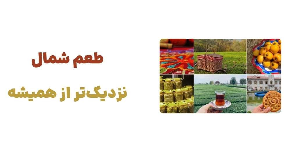 معرفی وبسایت سوغات شمال: تجربهای شیرین از خرید آنلاین سوغات شمال 7 طعم شمال، نزدیک_تر از همیشه